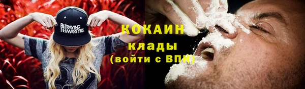 винт Богородицк