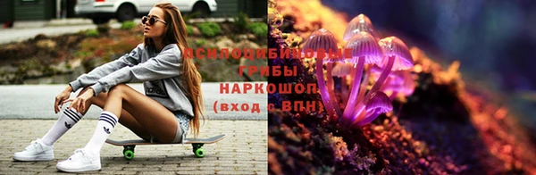 винт Богородицк