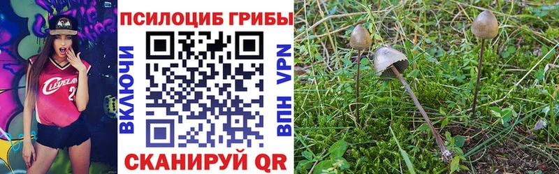 Галлюциногенные грибы ЛСД  купить наркотики цена  Катайск 